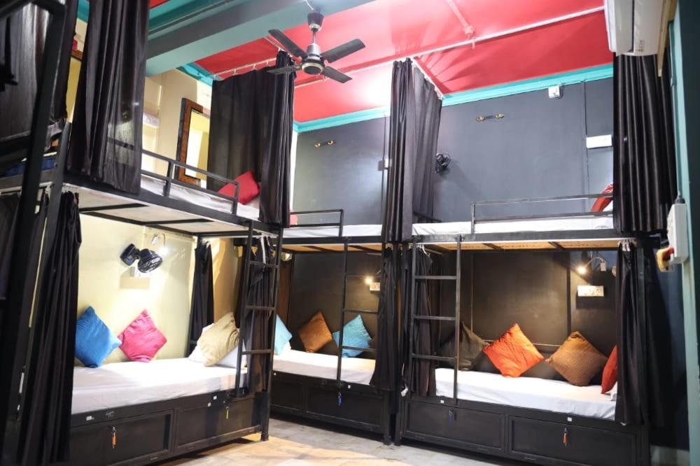 Santkripa Backpackers 400 Mtr From Railway Station Vandrerhjem Jodhpur  Eksteriør bilde