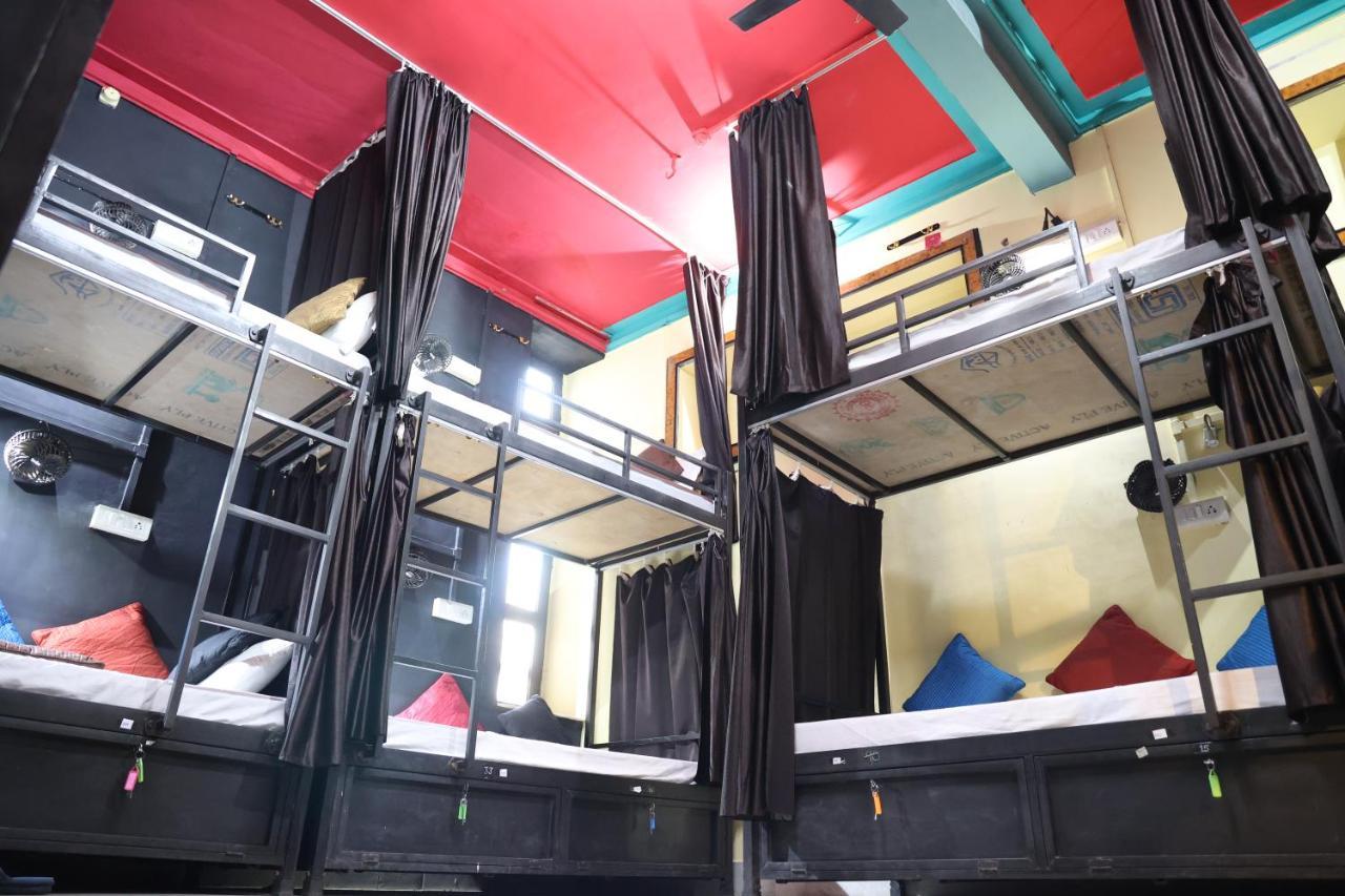 Santkripa Backpackers 400 Mtr From Railway Station Vandrerhjem Jodhpur  Eksteriør bilde